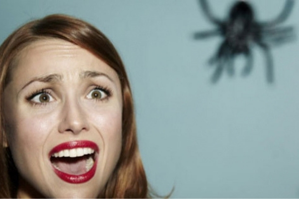 phobie araignée - Surmonter ses peurs et phobie- confiance en soi- Votre transformation spectaculaire par la libération émotionnelle, le nettoyage des blessures du passé et des croyances négatives.NERTI, EMDR, Kinésiologie