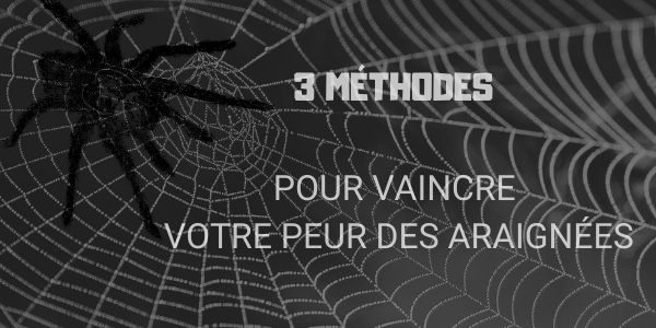 3 méthodes pour vaincre votre peur des araignées • Peurs et phobie